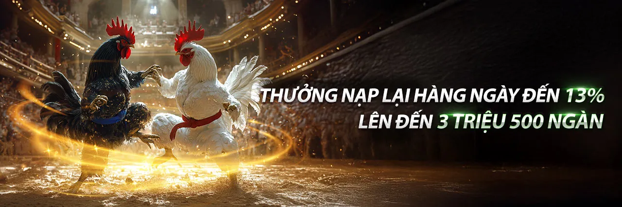 Đá gà trực tuyến kịch tính trên nền tảng gk88 web